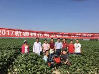 兰玉彬教授来新疆啦！大咖亲临指导飞防试验！