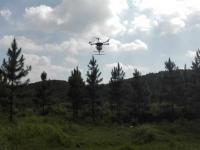 临武县林业局工作人员在汾市镇南岸村进行无人机治虫