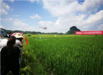 融水县召开水稻植保无人机作业演示暨技术培训现场会