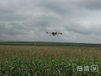 沾益区利用新型植保无人机防治玉米病虫害