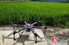植保无人机+统防统治 推动武陵源区现代农业发展