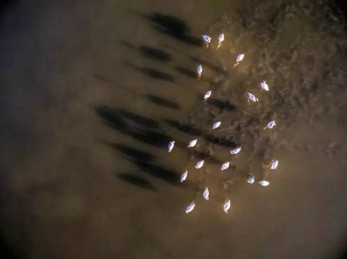 无人机镜头下的惊艳美景