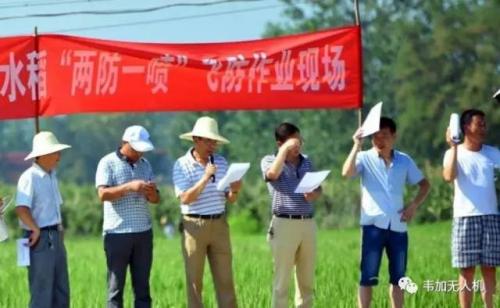 韦加无人机在城固县开展“两防一喷”飞防作业服务，助力脱贫攻坚水稻产业帮扶