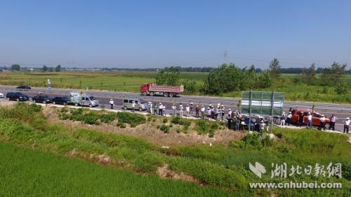 无人机统防统治水稻病虫害 汉川绿色防控10万亩中晚稻