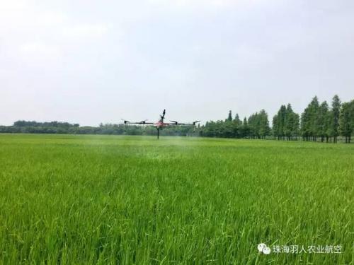 珠海羽人农用无人机施肥喷药效率高效益更好！