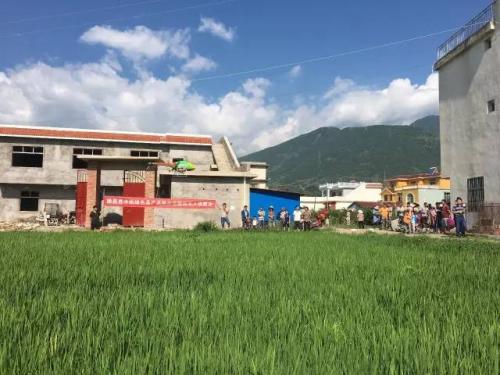 溉亚丨德昌县绿色植保无人机飞行演示