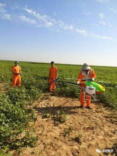 内蒙，高科新农上万亩全作物飞防