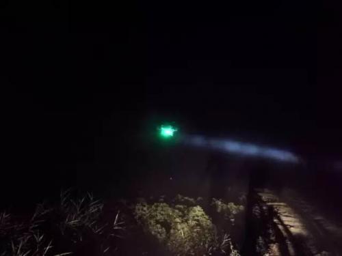 “大壮”新疆战蚜虫 上演棉花保卫战