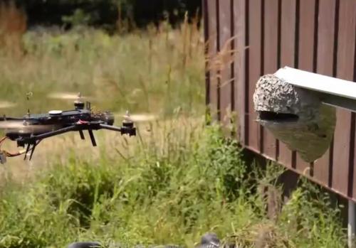 男子开无人机去捅马蜂窝，怎么蛰都没用，马蜂内心绝望了！
