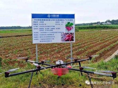 虫口夺粮：省委组织部领导率队到雷州调研精准扶贫工作