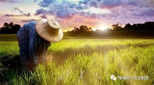 打破传统打药模式弊端，农用无人机走俏农业市场