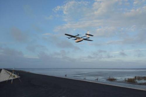 长江最东端，看大鹏与落霞齐飞