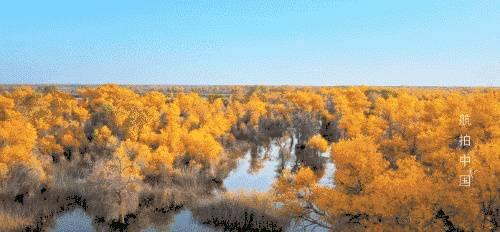 无人机：我走红是有原因的！