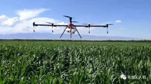 申请了一片天，不为别的，飞！！！