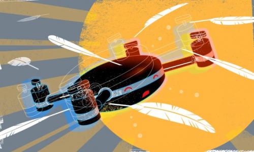 Lily无人机沉浮录：从一夜成名到身败名裂是怎样发生的？