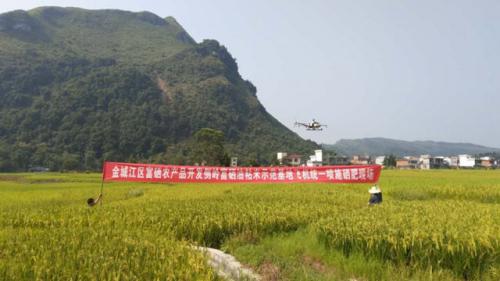金城江首次引进无人机给稻田喷施硒肥