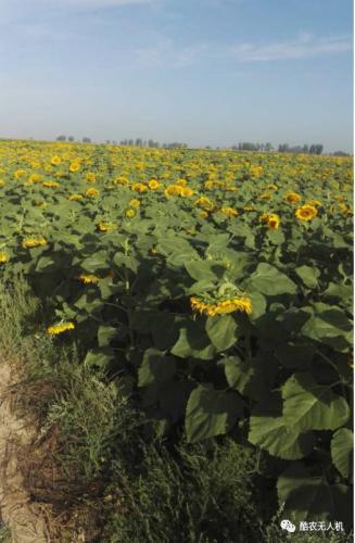 内蒙受灾，酷农千里支援！