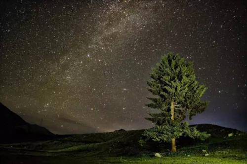 飞手 | “你们每天都这么忙，不累吗”