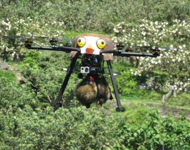 流浪猴搞破坏致损失百万 日本农民派无人机驱赶