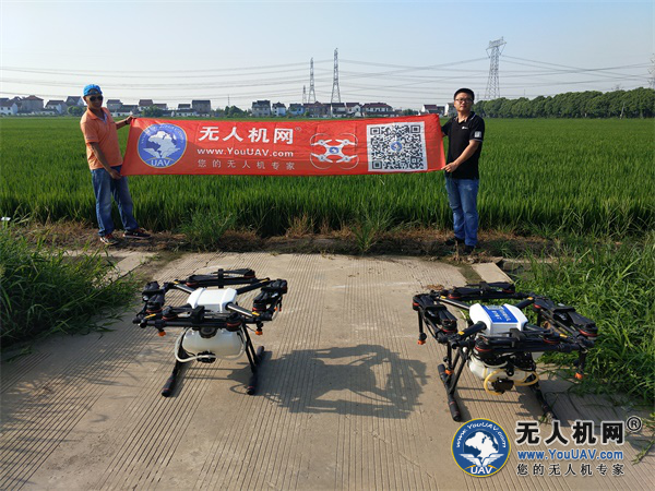 无惧秋老虎，无人机网“牧马”稻梁田