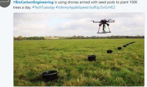 1天10万棵树！缅甸用无人机播种「神分析」种子存活率超高