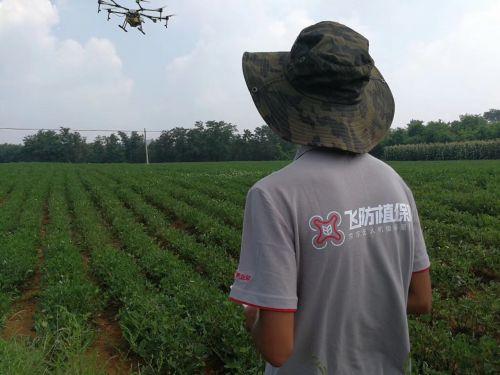 5天挽救5万亩花生 京东植保无人机用黑科技高效灭虫