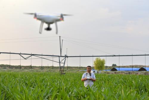 无人机替代牧羊人 鄂尔多斯"云端牧场"秀高科技