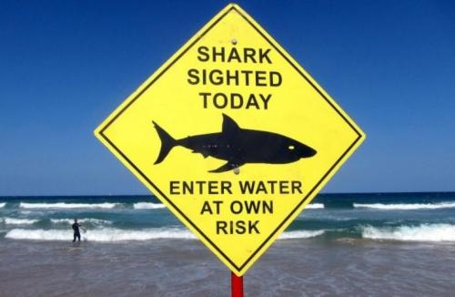 除了航拍，无人机还能检测鲨鱼