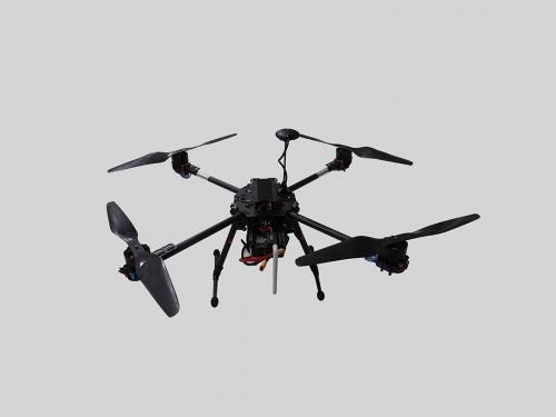 精确度达90% 澳利用人工智能无人机防止鲨鱼攻击