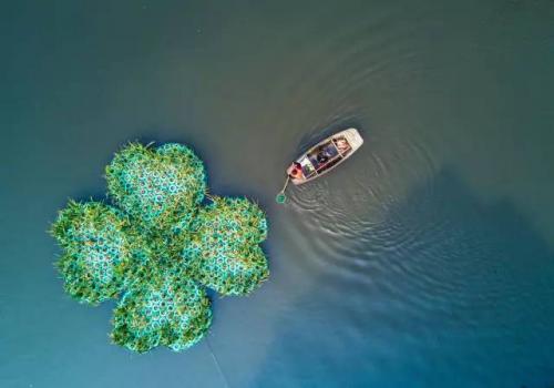 从精灵1飞到精灵4A，这位新华社摄影记者说他已离不开无人机