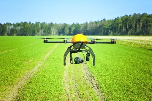 无人机种树，一年十亿棵