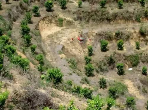 P20化身高山卫士 万亩柑橘树统防统治再显神通