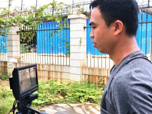 百色供电巧用无人机除马蜂保居住安全