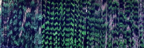 Microfly HS 成像高光谱无人机