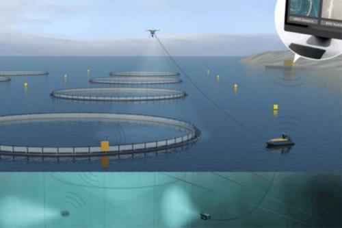 “无人养鱼”来啦！无人机、潜水器……这个项目斥资3000万元，2018年投入使用