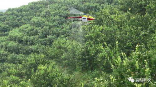 机器换人，高科新农「橙色计划」衢州站胡柚飞防来袭