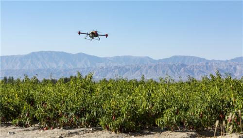 广州造农业无人机飞向全球 打造国际科技创新枢纽