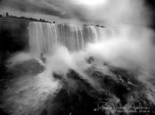 黑白照 | 专属精灵的黑白世界