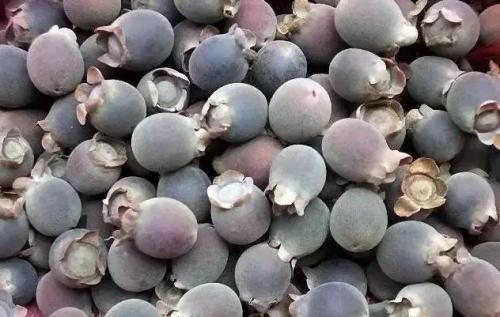 男子采野果被困深山 于都出动无人机搜寻