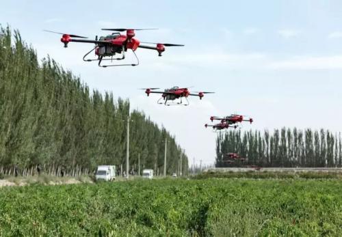 秋收“起翼” | 极飞率全国飞防队在新疆开展大规模落叶剂喷洒服务