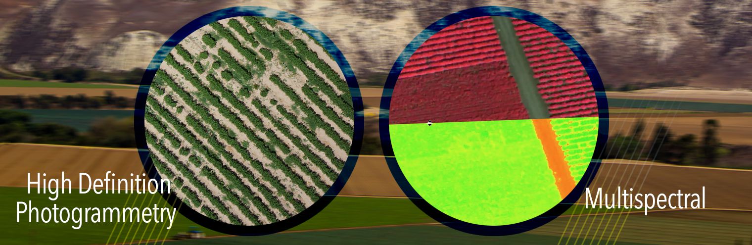 AeroVironment Quantix_无人机网(www.youuav.com) AeroVironment Quantix_无人机网(www.youuav.com)