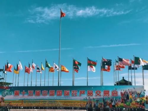 作为一架被祖国需要的无人机，是种怎样的体验？