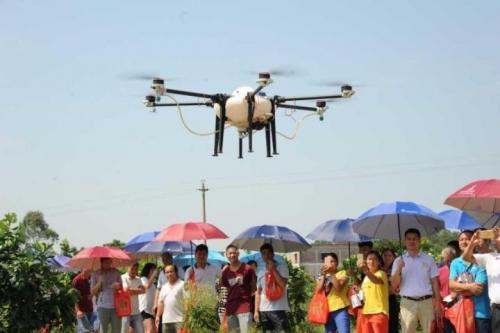 博罗石坝：种植大户首批投入3架无人机，应用于农药喷洒