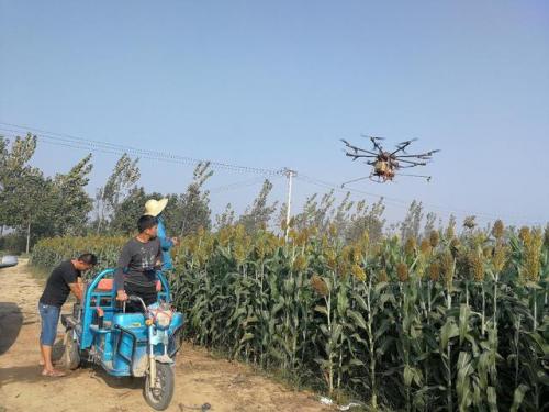 农村小伙用无人机帮人喷农药 日入上千