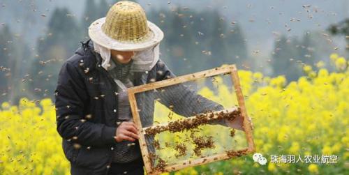 植保无人机行业标准将陆续出台