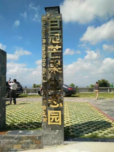 百色大事件！田东芒果大户签约合伙人！