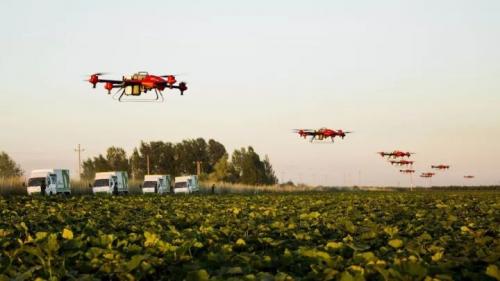 砥砺奋进的五年 | 中国农民有了国际范儿