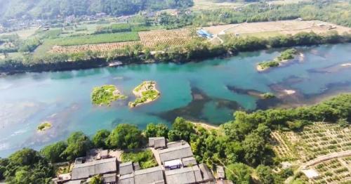 AMIGO：烈日炎炎，我有清风寄凉意