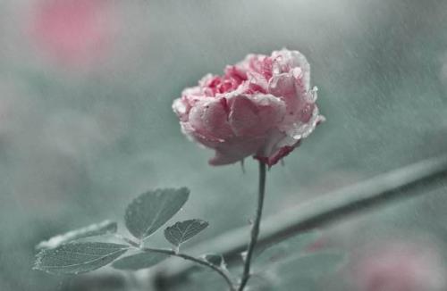 这些天气，起飞前一定要特别注意啦！