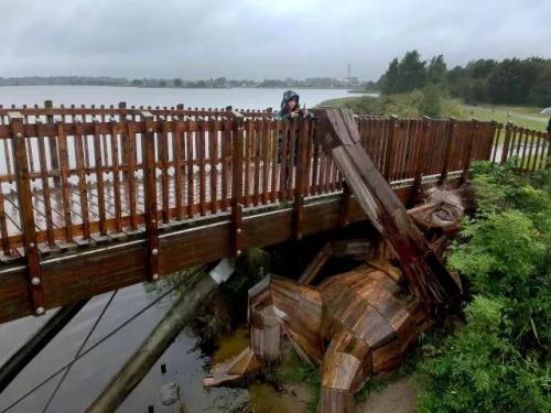 从世界体操冠军到涂鸦艺术家，他们为什么对这台无人机如此着迷